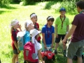 2019-06-01-WiWo-11