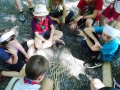 2019-06-01-WiWo-28