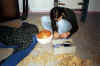 CaExKrippe2002_02.jpg (33140 Byte)
