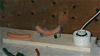 GuSpKttLa1999EWurst1.jpg (7355 Byte)