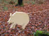 GuSpTs2002-11-30_10.JPG (56839 Byte)