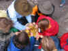 GuSpTs2002-11-30_16.JPG (44723 Byte)