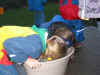 GuSpTs2002-11-30_19.JPG (33378 Byte)