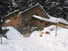 LeiAfl2004-11.JPG (36631 Byte)