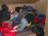 WoHeLa2003-03.JPG (24801 Byte)