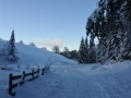 CaExWiLa2013-00