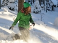 CaExWiLa2013-26