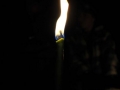 CaExWiLa2013-76
