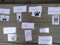 GuSpTs-11