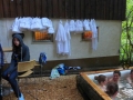RaRoLandAk2014-37