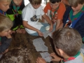 2014SoLaWo-065