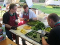Startfest2014-54