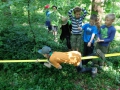 WiWoLandAk2014-04