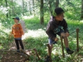 WiWoLandAk2014-33