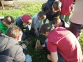 WoHeLa2014-01