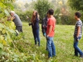 2015_RaRo_Neuburg-03