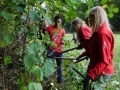 2015_RaRo_Neuburg-05