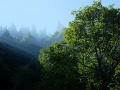 2015-Schwenden-08