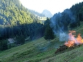 2015-Schwenden-11