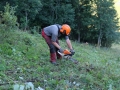 2015-Schwenden-17