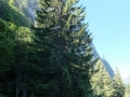 2015-Schwenden-20