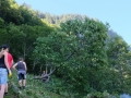 2015-Schwenden-24