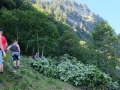 2015-Schwenden-25
