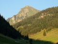 2015-Schwenden-54