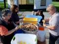 2015-Startfest-021