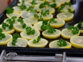 2015-Startfest-034