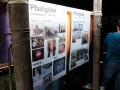 2015-Startfest-061