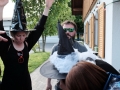 2016-GildeEvent-48