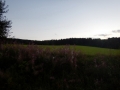 2016_SoLa_RaRo-044