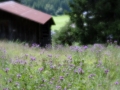 2017-SoLa-GuSp-Vortrupp-192
