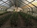 2018-05-09-CaEx-TS-11
