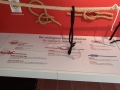 CaEx-103