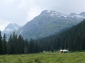 GuSp-015