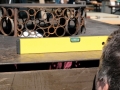 2019-Startfest-005