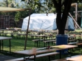 2019-Startfest-028