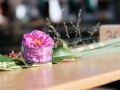 2019-Startfest-029