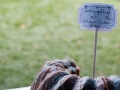 2021-Startfest-078