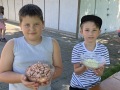 2022-06-11-WiWo-HS-11