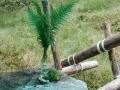 2022-SoLa-GuSp-012