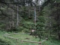 2022-SoLa-GuSp-059