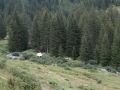 2022-SoLa-GuSp-064