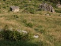 2022-SoLa-GuSp-133