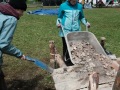 11-015