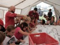 2023-Startfest-089
