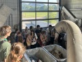 2025-06-18-CaEx-Klaeranalage-09