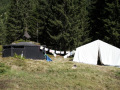 GuSp-057